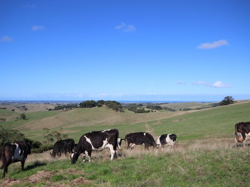 Lot 4 Craig Road, Ryanston VIC 3992