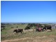 Lot 4 Craig Road, Ryanston VIC 3992