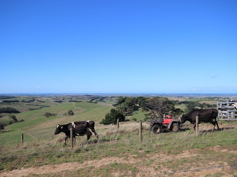 Lot 4 Craig Road, Ryanston VIC 3992
