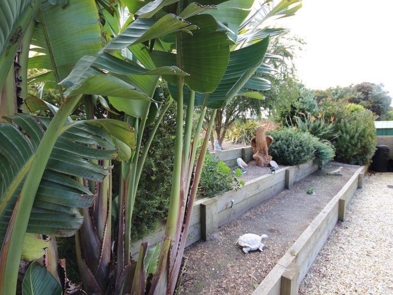 Wonthaggi VIC 3995