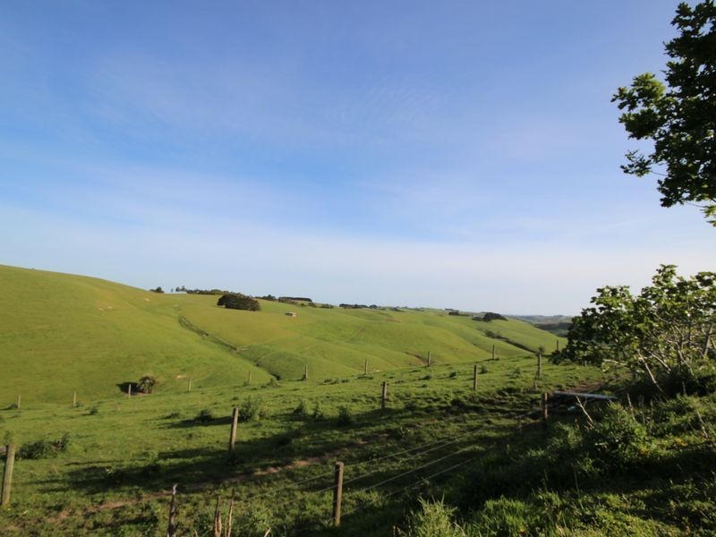 1005 Loch Wonthaggi Road, Krowera VIC 3945