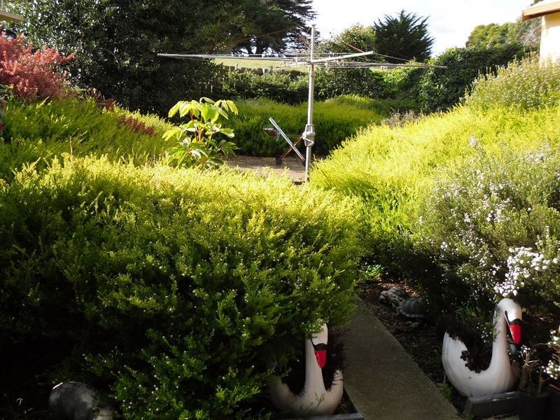 1910 Loch – Wonthaggi Road, Archies Creek VIC 3995