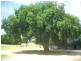 Coronet Bay VIC 3984