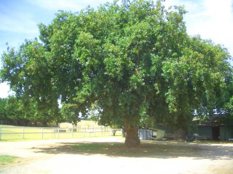 Coronet Bay VIC 3984