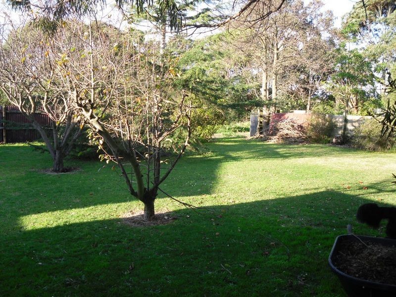 Wonthaggi VIC 3995