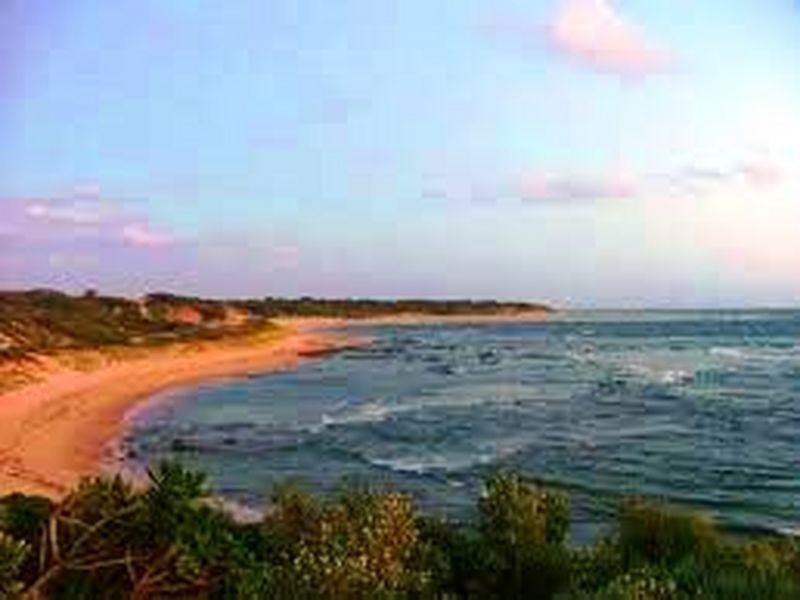Wonthaggi VIC 3995