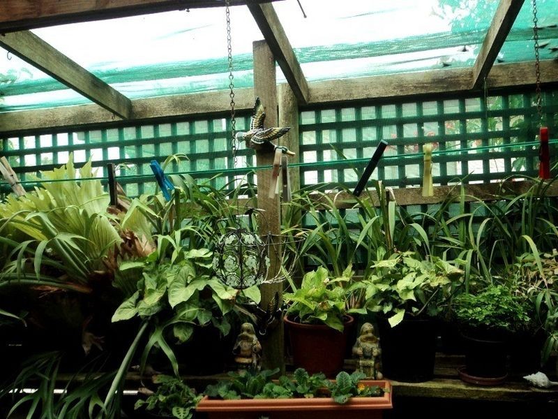 1/21 Hunter Street, Wonthaggi VIC 3995