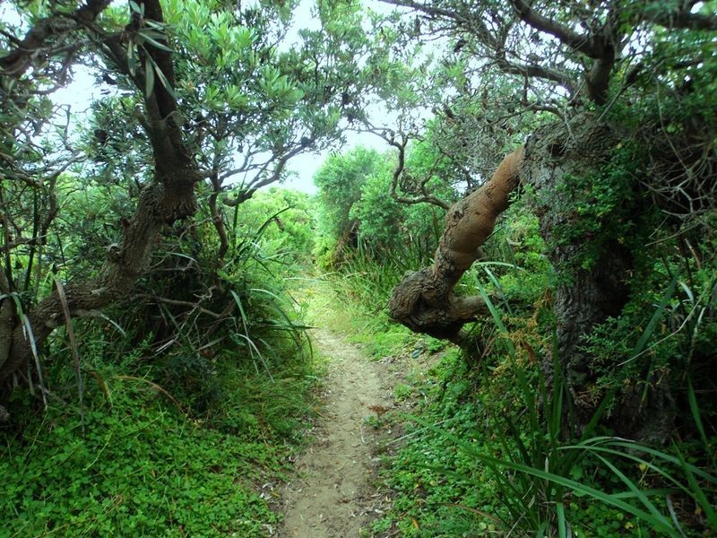 Harmers Haven VIC 3995