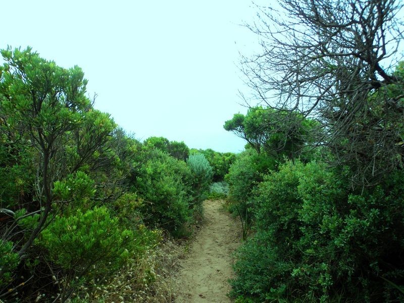 Harmers Haven VIC 3995