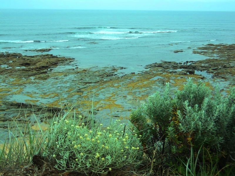 Harmers Haven VIC 3995