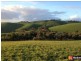 260 McDowell Road, Woolamai VIC 3995