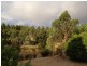260 McDowell Road, Woolamai VIC 3995