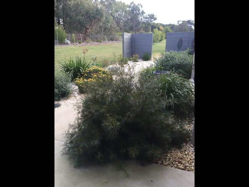 148 Drysdale Road, Outtrim VIC 3951