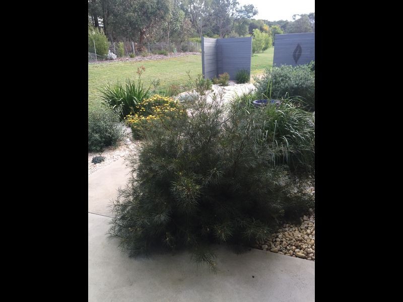 148 Drysdale Road, Outtrim VIC 3951