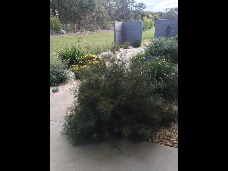 148 Drysdale Road, Outtrim VIC 3951