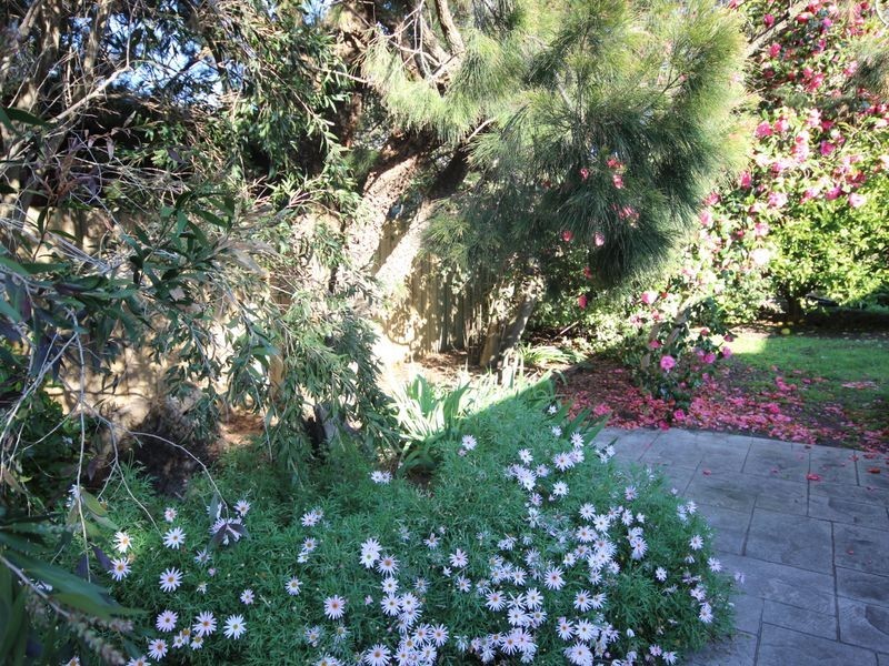 115 Hagelthorn Street, Wonthaggi VIC 3995