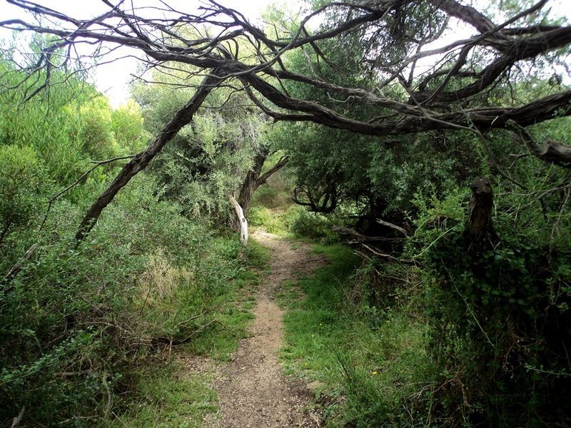 Harmers Haven VIC 3995