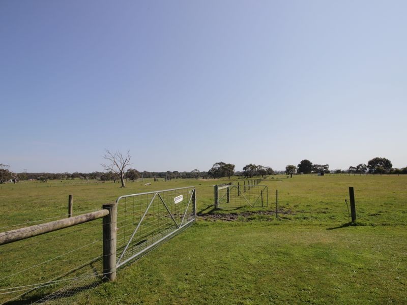 16 Forster Court, Wattle Bank VIC 3995