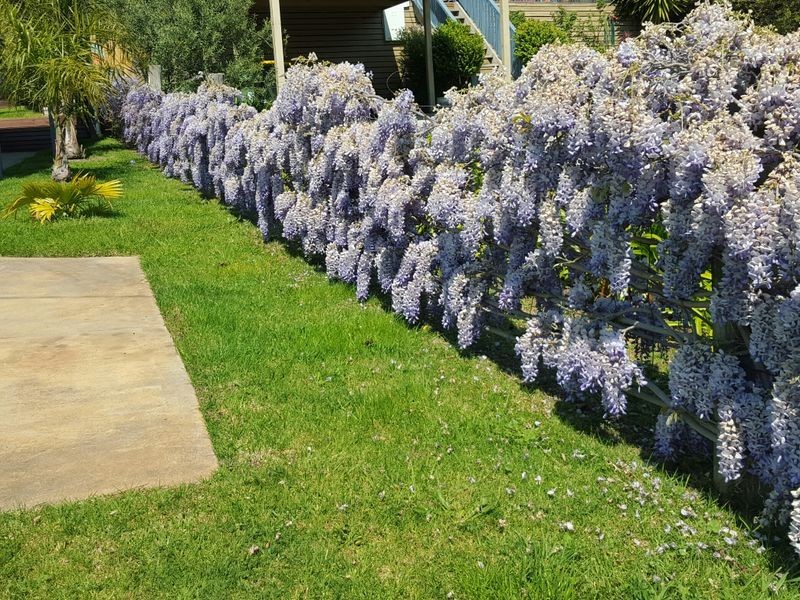 3 Hopkins Drive, Grantville VIC 3984