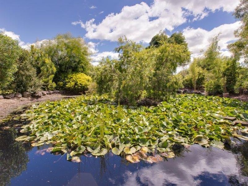 43 Reid Lane, Bass VIC 3991