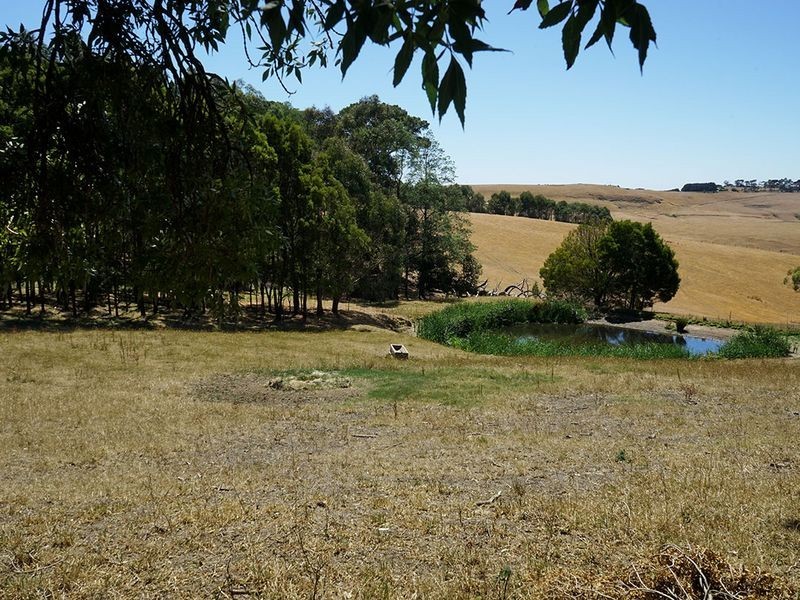 Ryanston VIC 3992