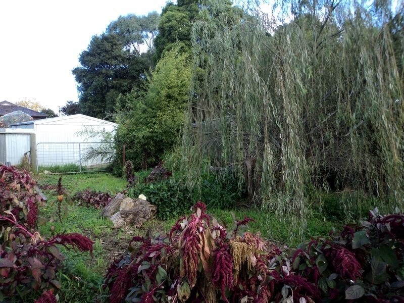 Wonthaggi VIC 3995