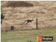 Grantville VIC 3984