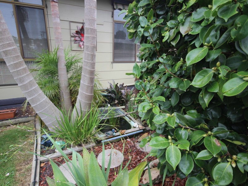 11 Brook Street, Wonthaggi VIC 3995