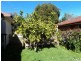 46 Hagelthorn Street, Wonthaggi VIC 3995