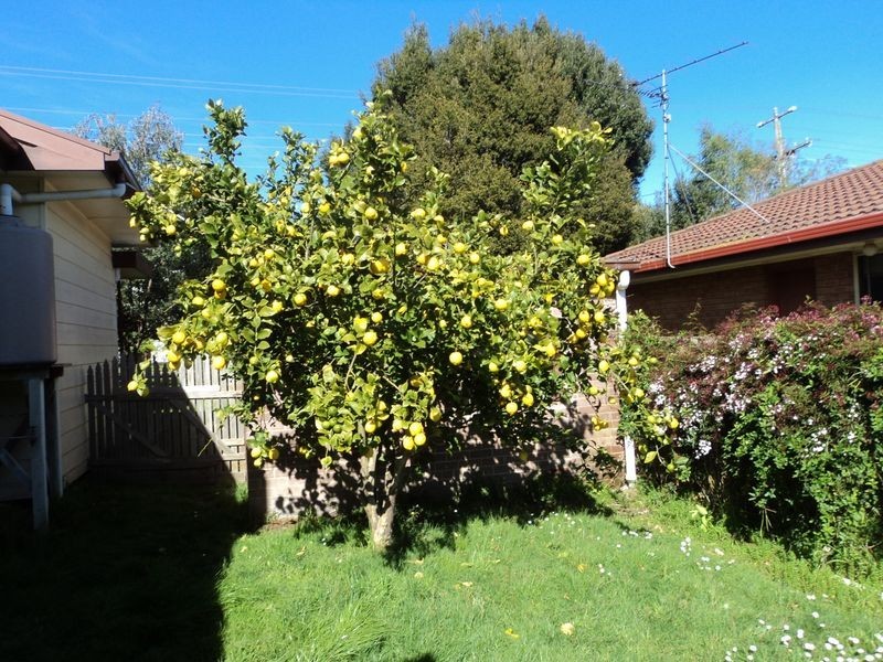 46 Hagelthorn Street, Wonthaggi VIC 3995