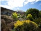 Kilcunda VIC 3995