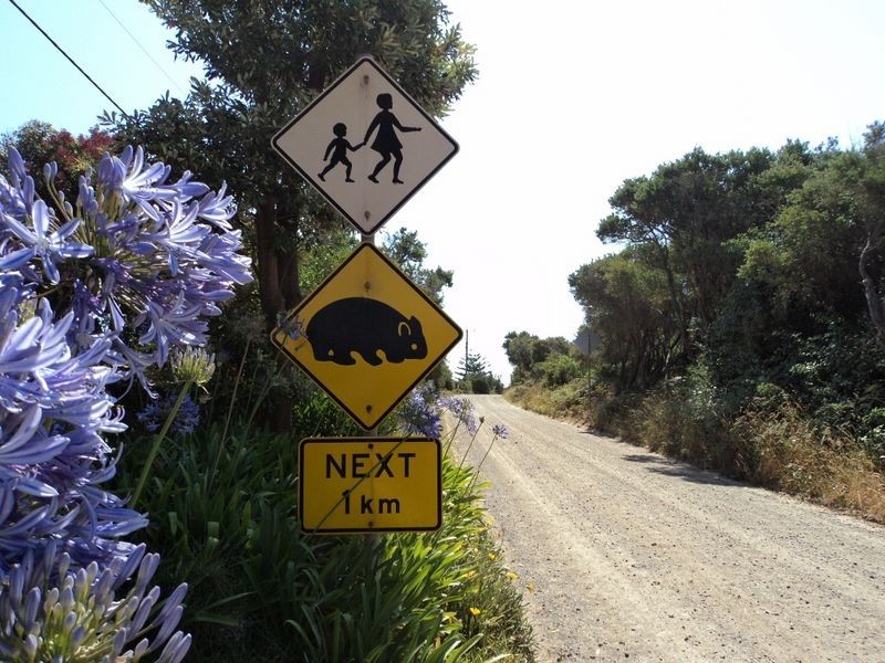 Harmers Haven VIC 3995