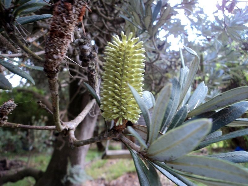 Harmers Haven VIC 3995