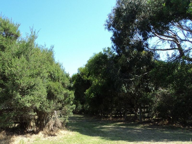 Harmers Haven VIC 3995