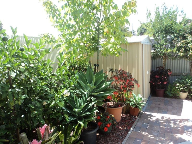Wonthaggi VIC 3995