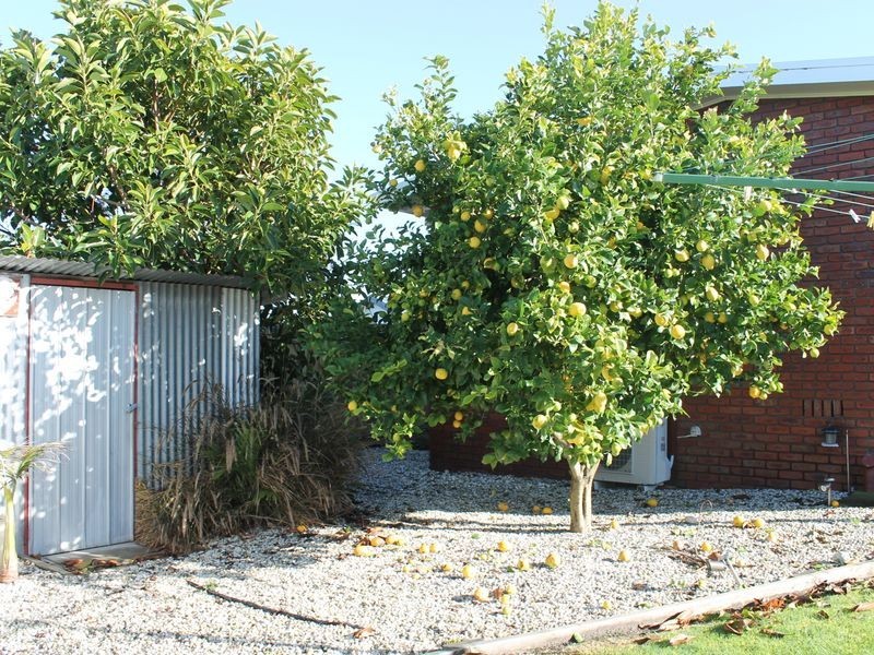 Wonthaggi VIC 3995