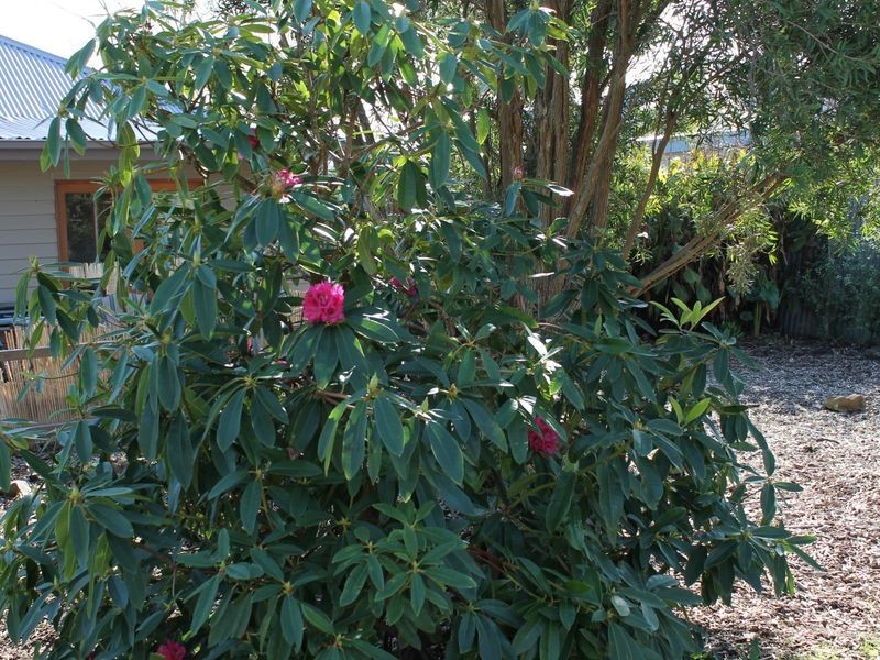 Wonthaggi VIC 3995