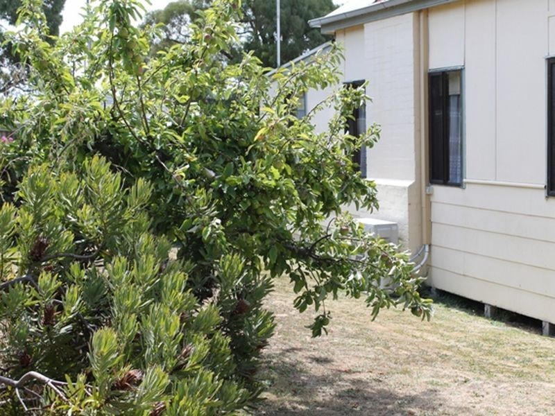 Wonthaggi VIC 3995