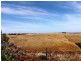 Woolamai VIC 3995