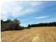 Woolamai VIC 3995