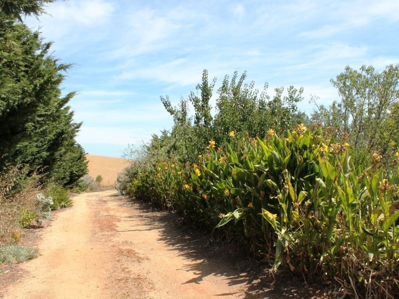 Woolamai VIC 3995