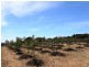 Woolamai VIC 3995