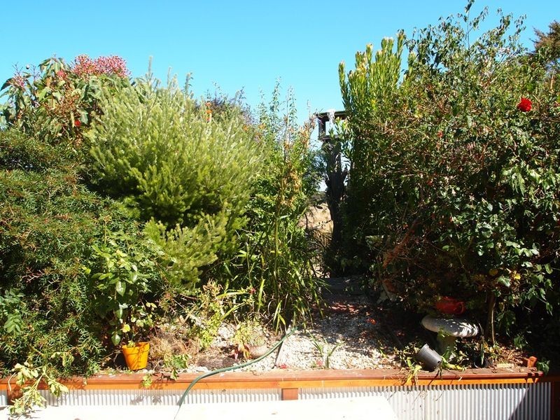 Wonthaggi VIC 3995