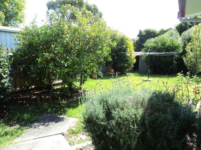 Wonthaggi VIC 3995