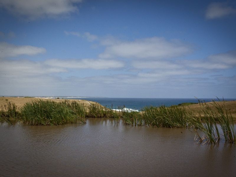 21 Mabilia Road, Kilcunda VIC 3995