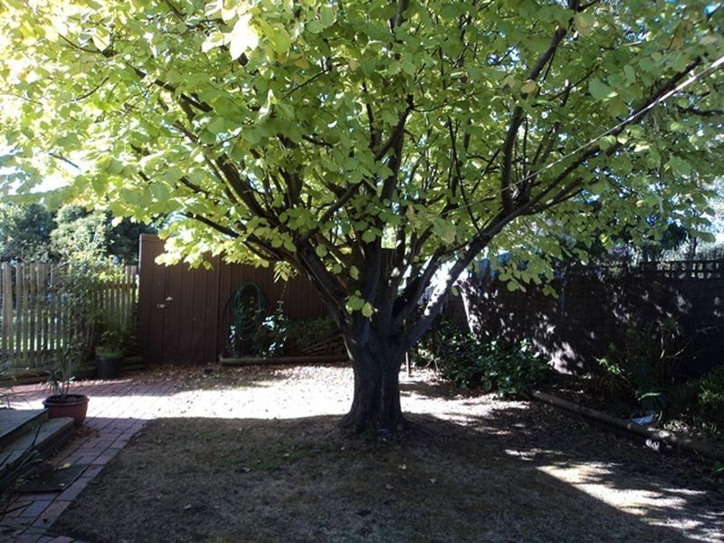 Wonthaggi VIC 3995