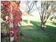 Lance Creek VIC 3995