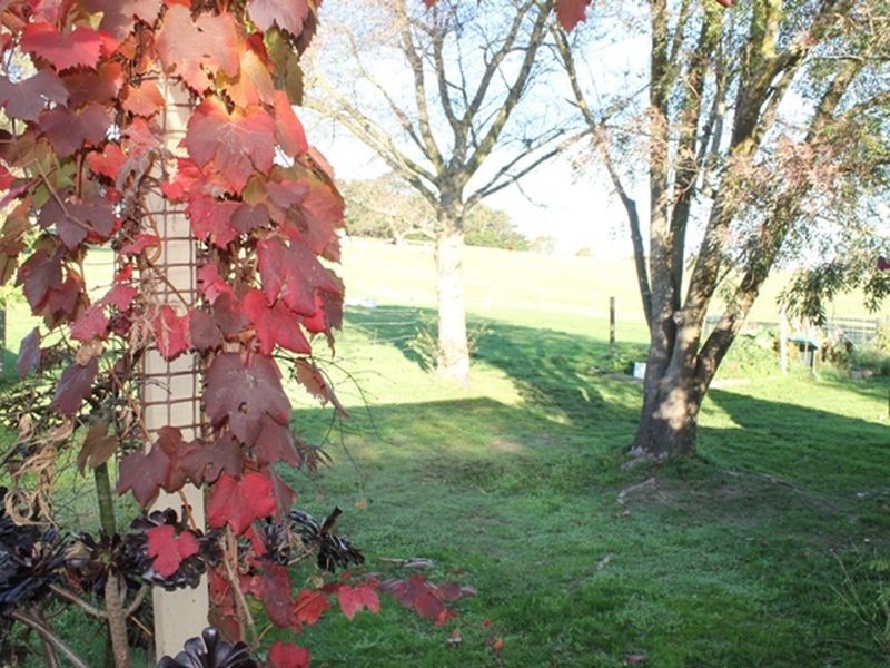 Lance Creek VIC 3995
