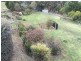 1475 Loch Wonthaggi Road, Glen Alvie VIC 3979