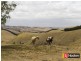 420 Sheepways Road, Krowera VIC 3945